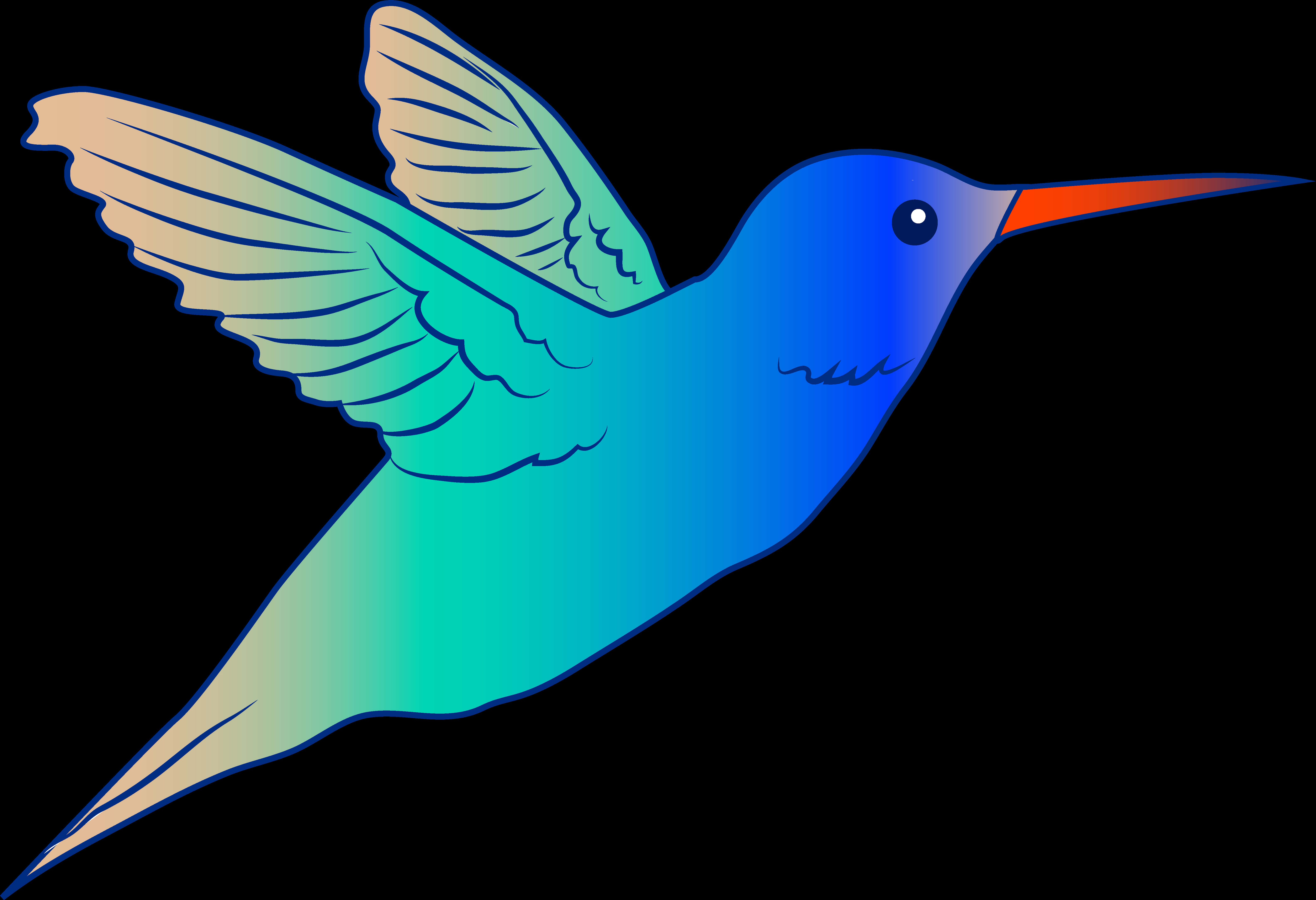 Vibrant Hummingbird Illustration PNG image