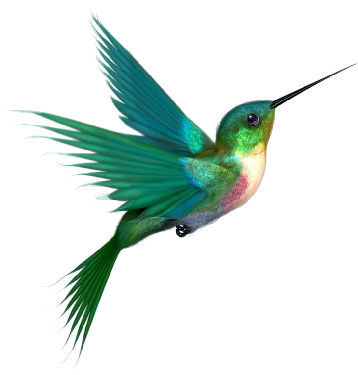 Vibrant Hummingbird In Flight PNG image