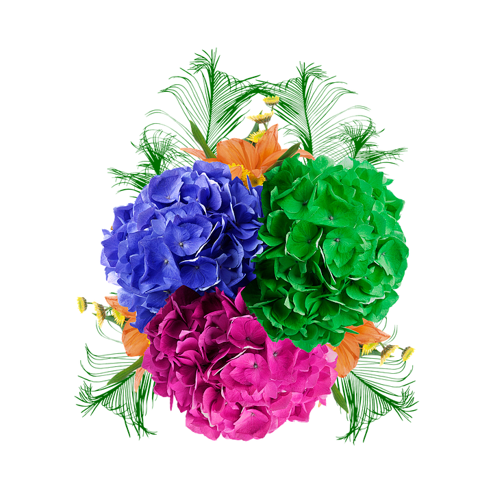 Vibrant_ Hydrangea_ Bouquet PNG image