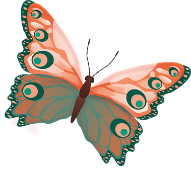 Vibrant_ Illustrated_ Butterfly PNG image