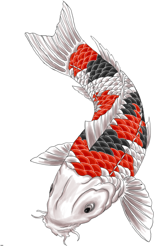 Vibrant Koi Fish Illustration PNG image