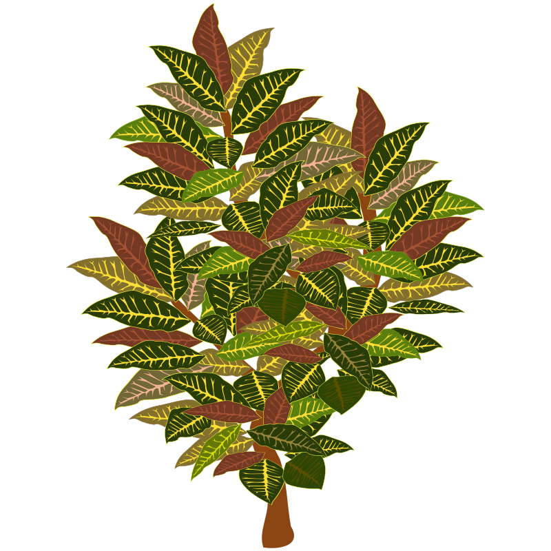 Vibrant Leaves Tree Illustration PNG image