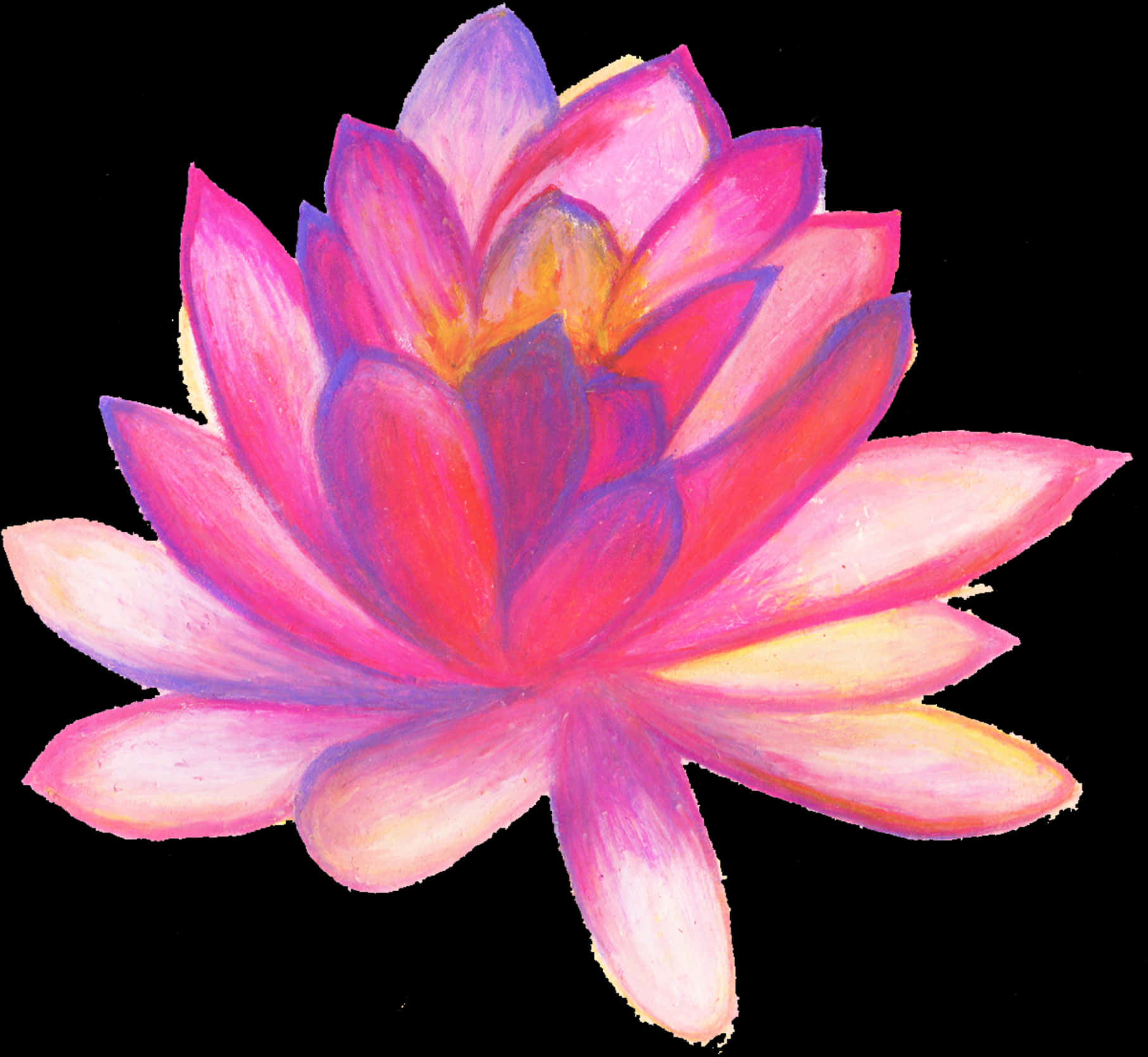 Vibrant Lotus Blossom Artwork PNG image