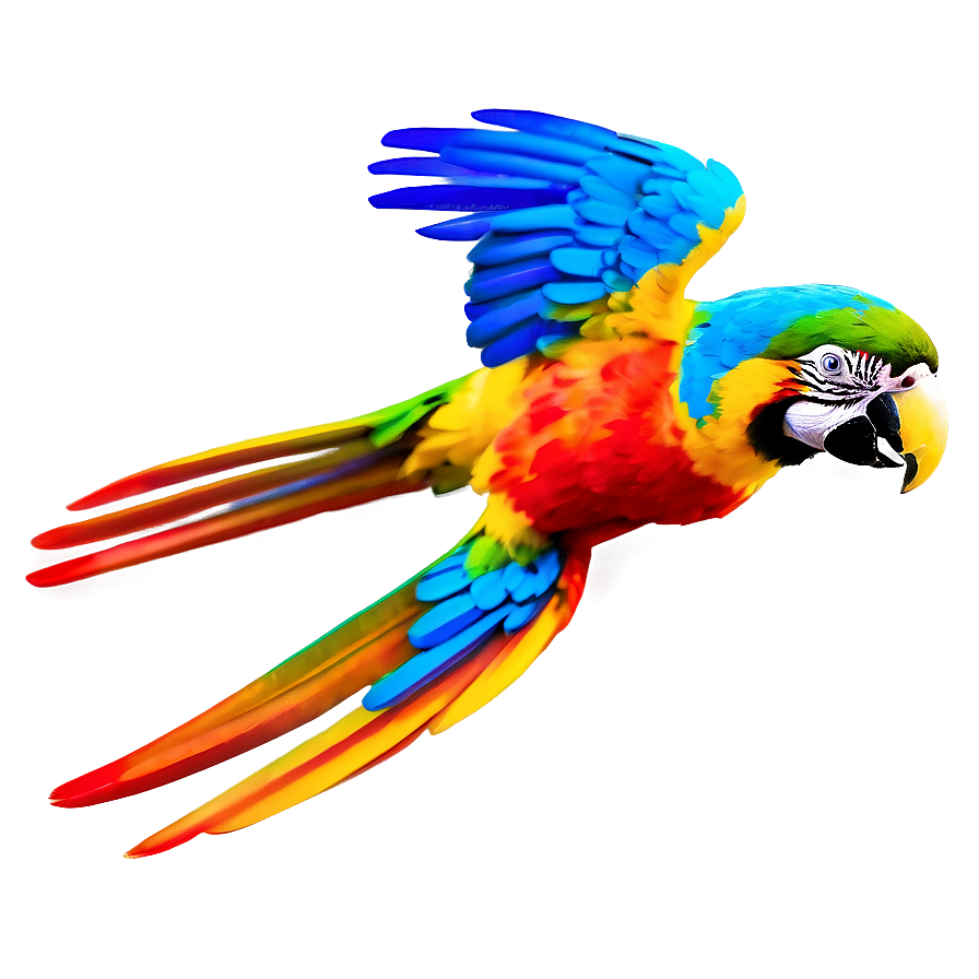 Vibrant Macaw In Flight Png 06122024 PNG image