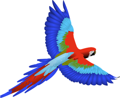 Vibrant_ Macaw_ In_ Flight PNG image