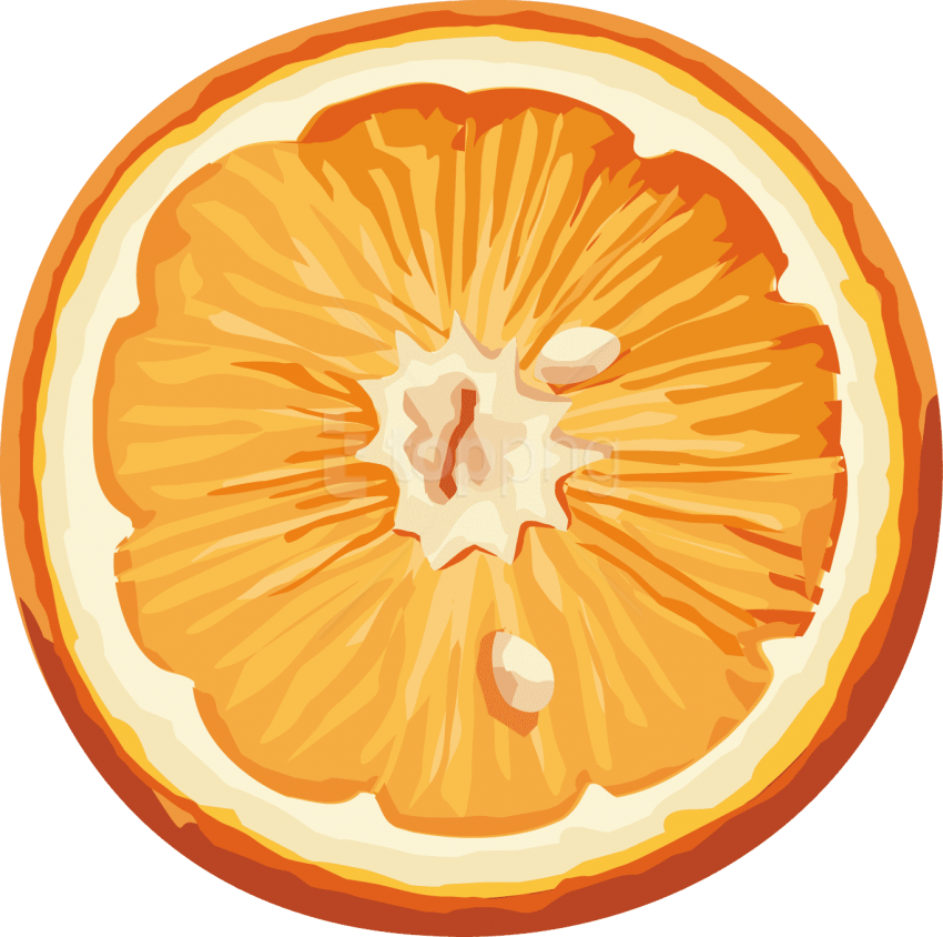 Vibrant Mandarin Slice Illustration PNG image