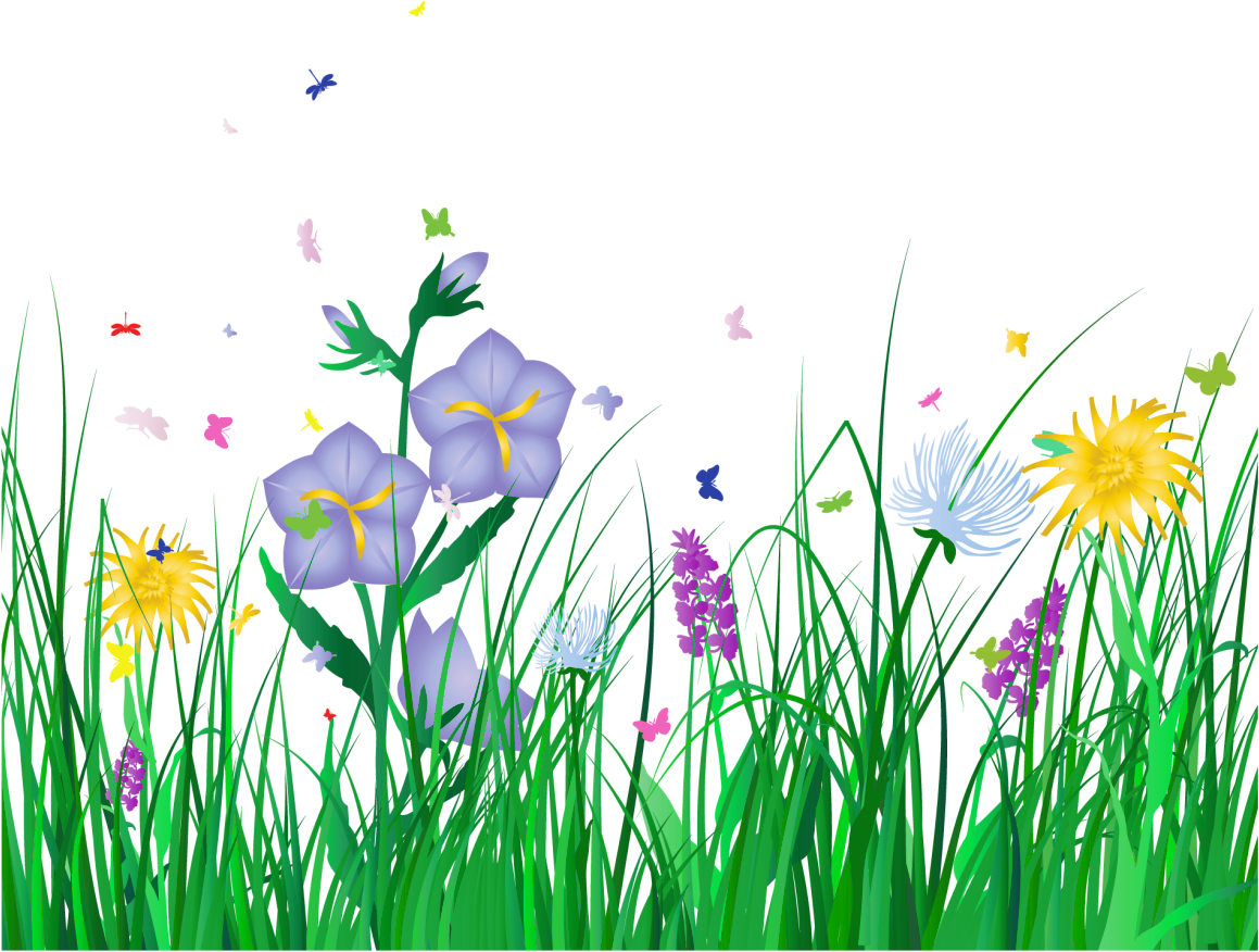Vibrant Meadow Floral Scene PNG image