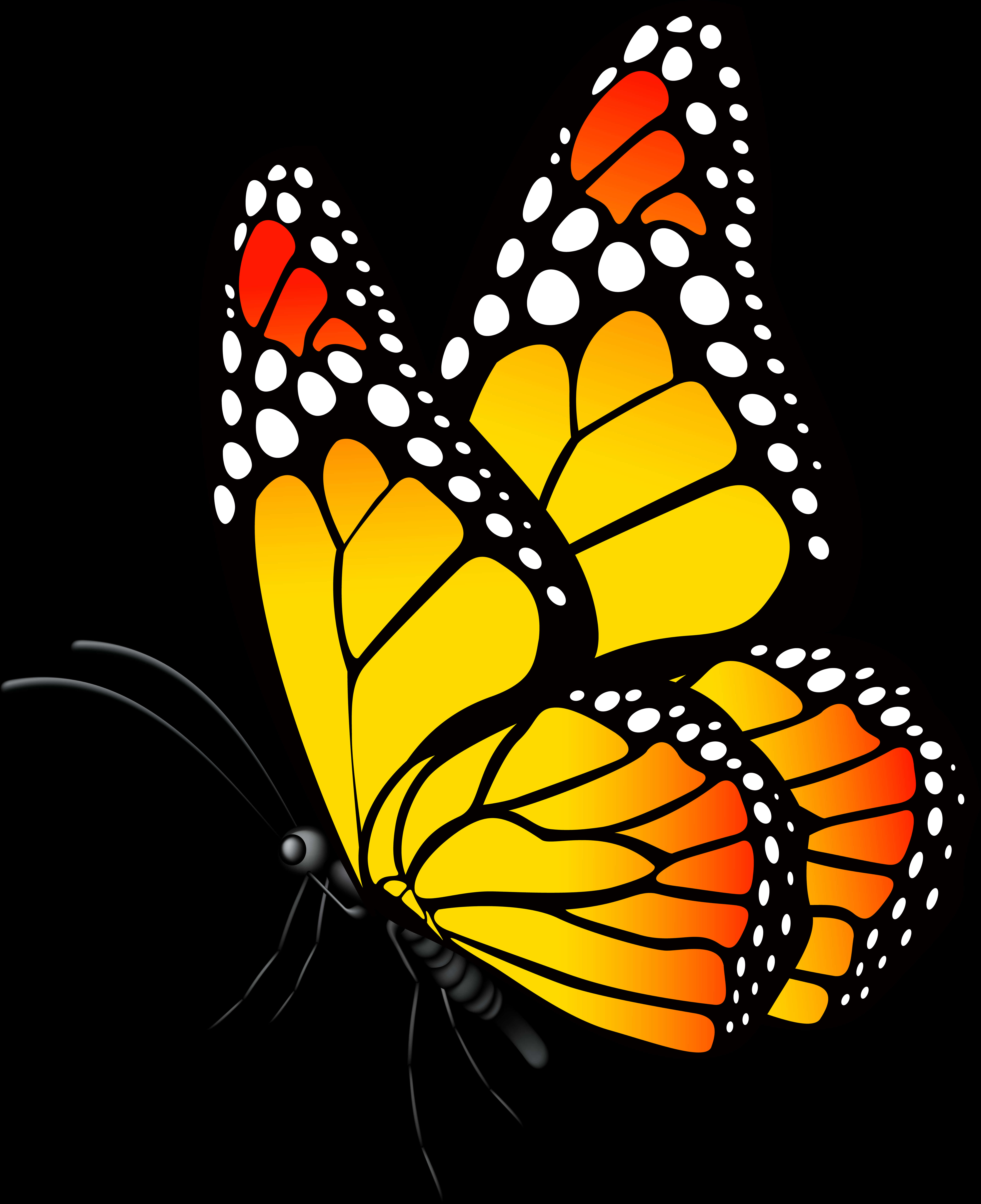 Vibrant Monarch Butterfly Illustration PNG image
