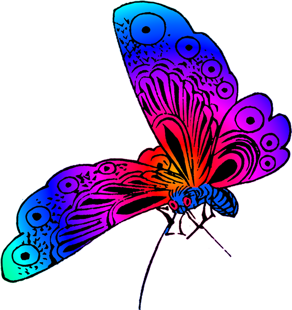 Vibrant Neon Butterfly Art PNG image