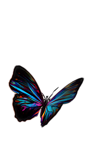 Vibrant Neon Butterflyon Black PNG image