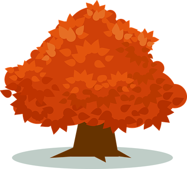 Vibrant Orange Autumn Tree Vector PNG image