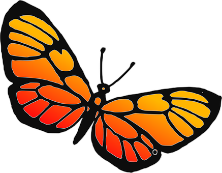 Vibrant Orange Butterfly Graphic PNG image