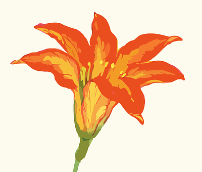 Vibrant Orange Flower Illustration PNG image