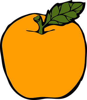 Vibrant Orange Fruit Illustration PNG image