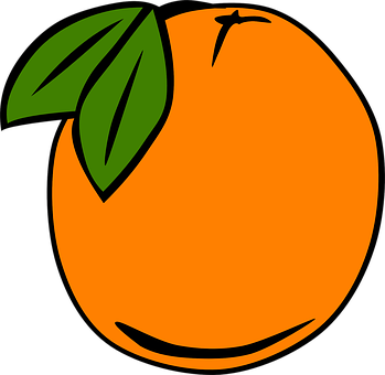 Vibrant Orange Fruit Illustration PNG image