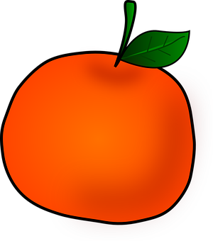 Vibrant Orange Fruit Illustration PNG image