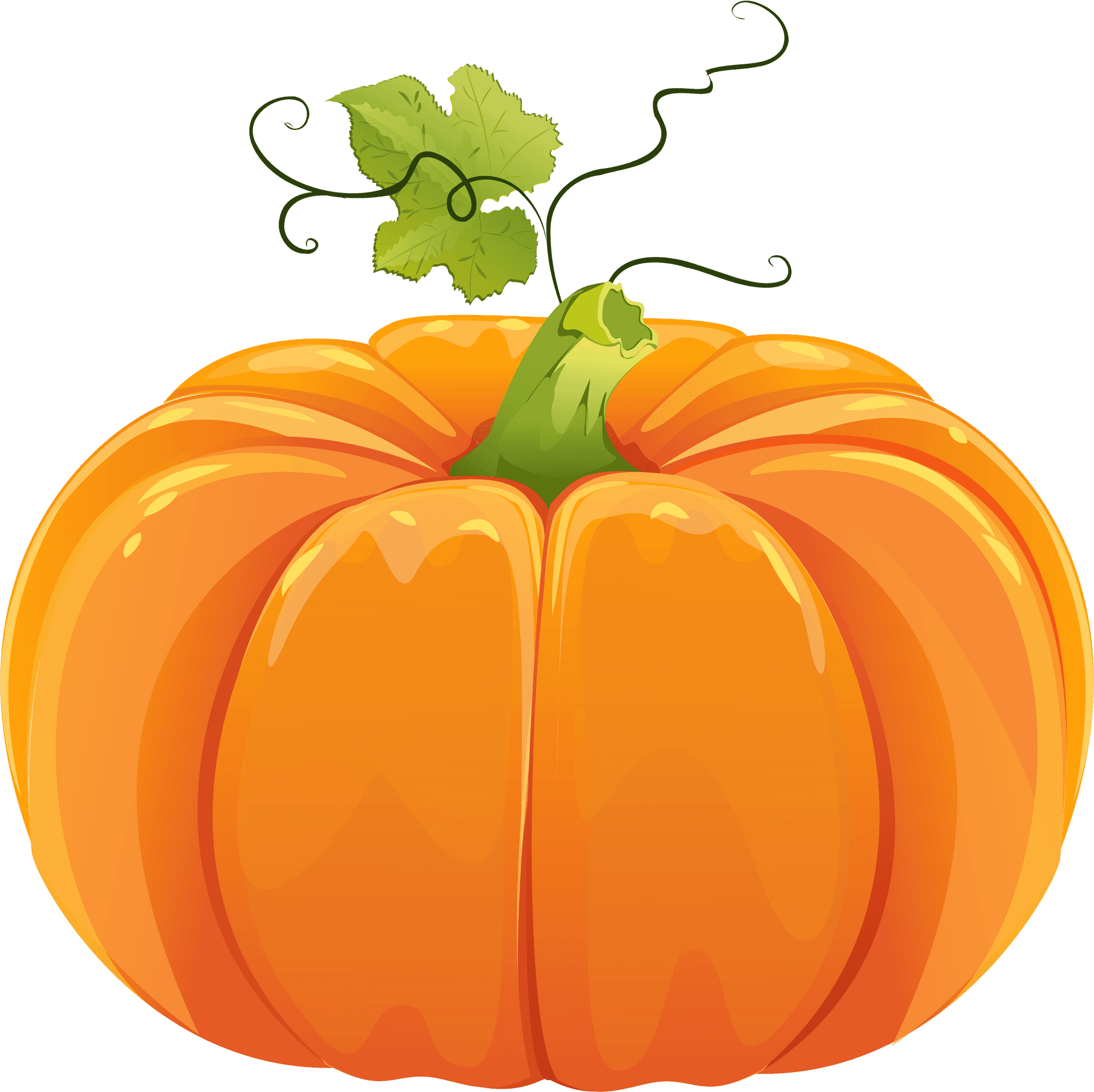 Vibrant Orange Pumpkin Illustration PNG image