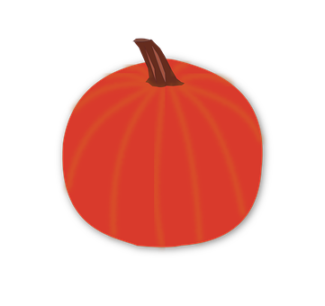 Vibrant Orange Pumpkin Illustration PNG image