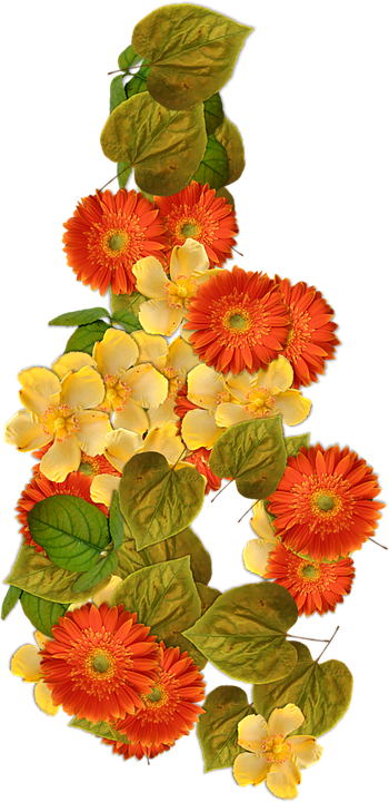 Vibrant Orangeand Yellow Flowers PNG image