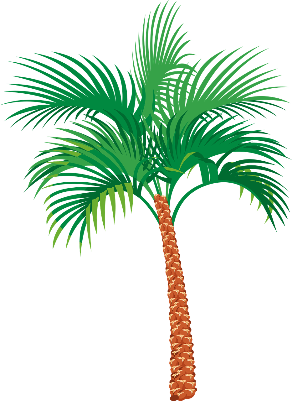 Vibrant_ Palm_ Tree_ Illustration PNG image