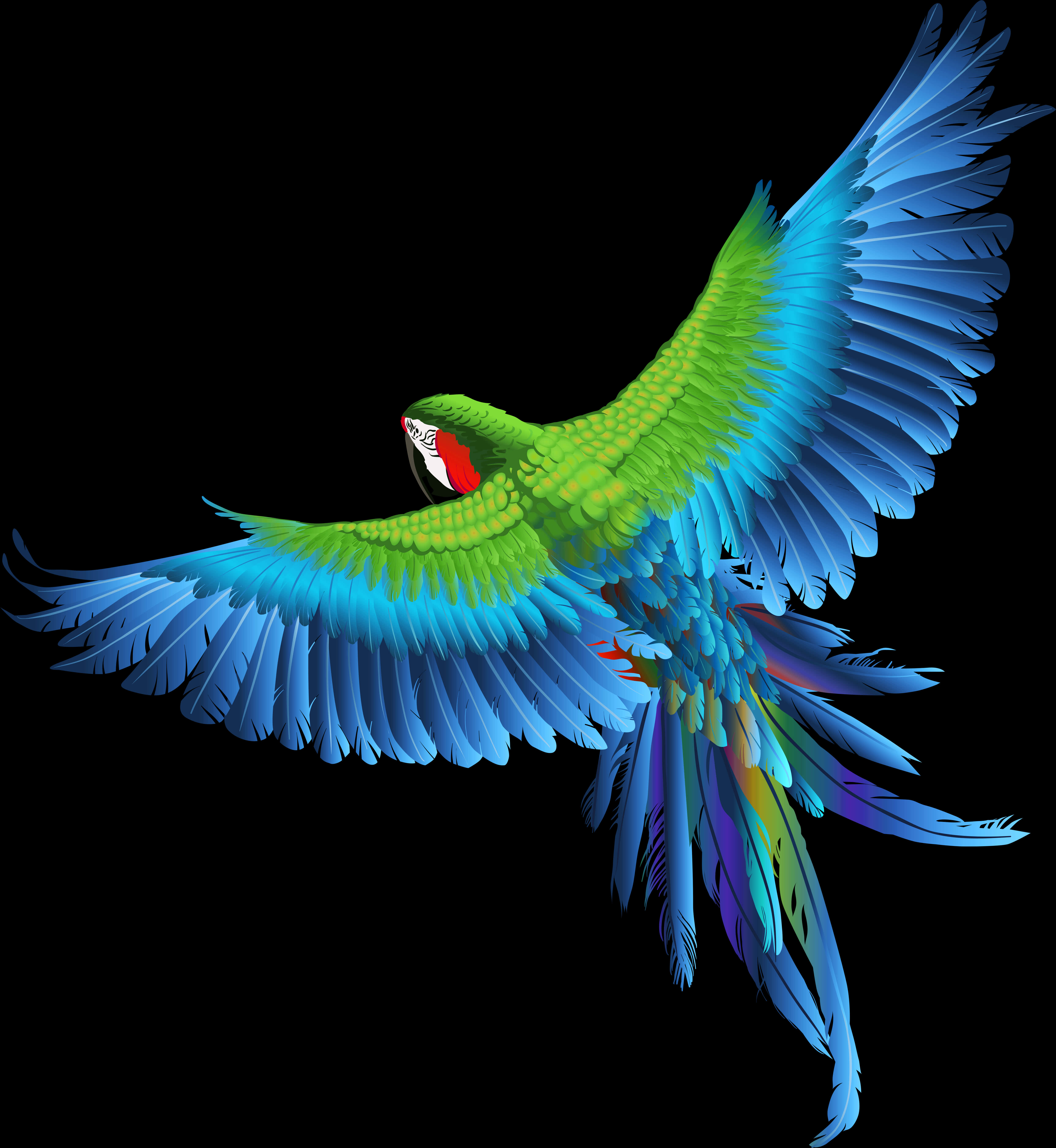 Vibrant_ Parrot_ In_ Flight_ Vector PNG image