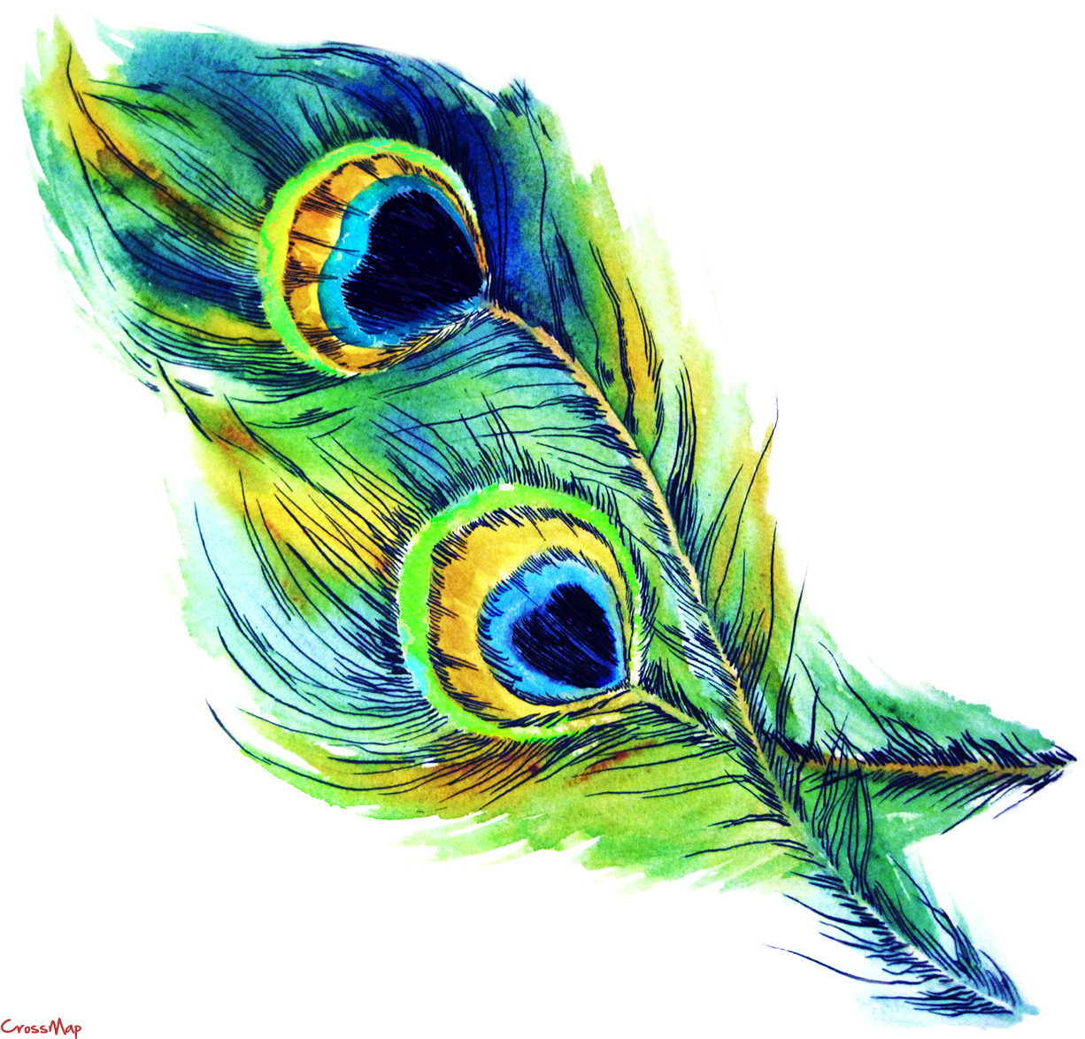 Vibrant Peacock Feather Artwork PNG image