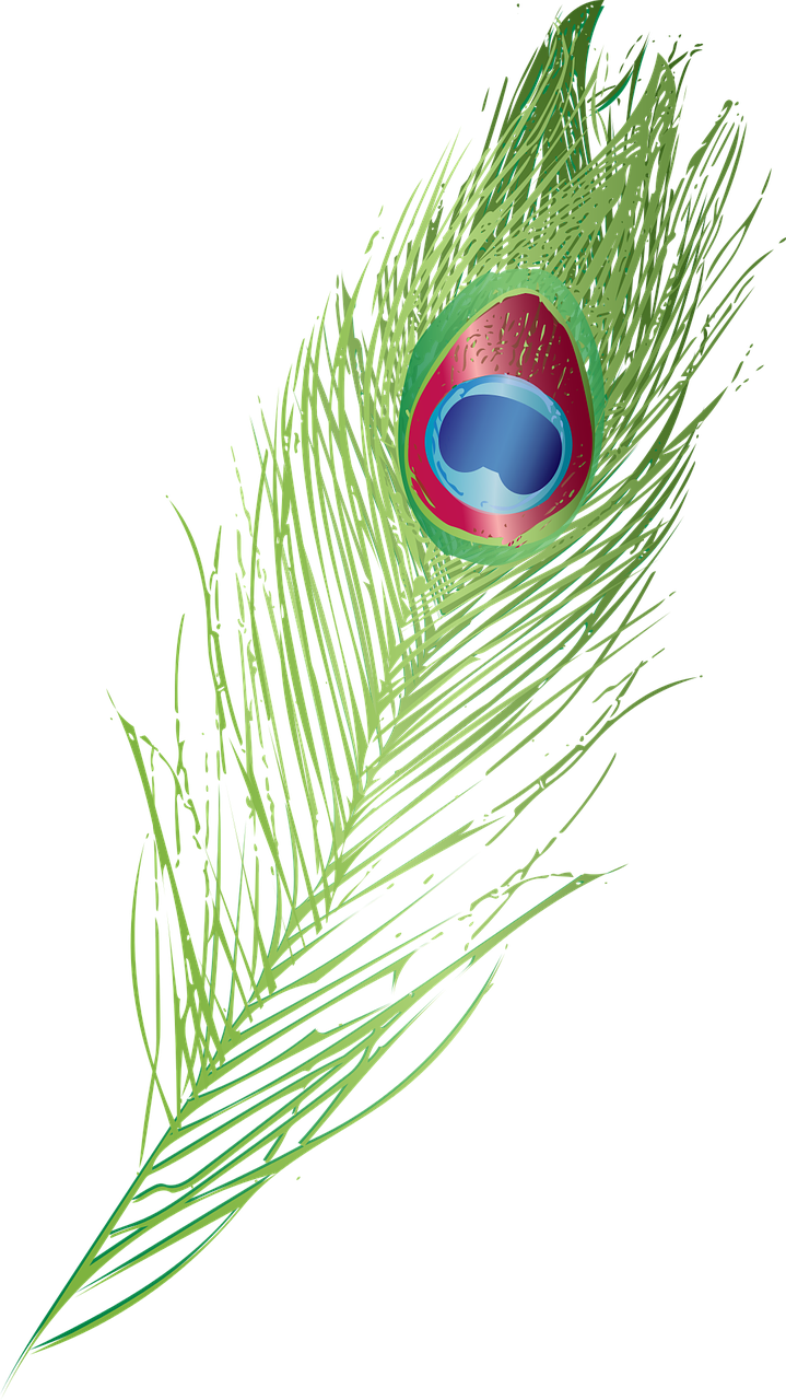 Vibrant_ Peacock_ Feather_ Artwork.png PNG image