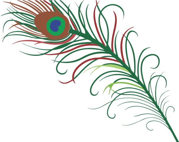 Vibrant_ Peacock_ Feather_ Artwork PNG image