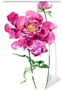 Vibrant Peony Watercolor Art PNG image