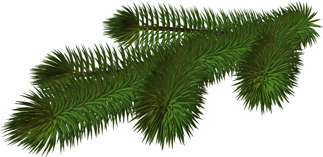 Vibrant_ Pine_ Branch_3 D_ Render PNG image