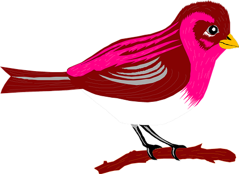 Vibrant Pink Bird Illustration PNG image