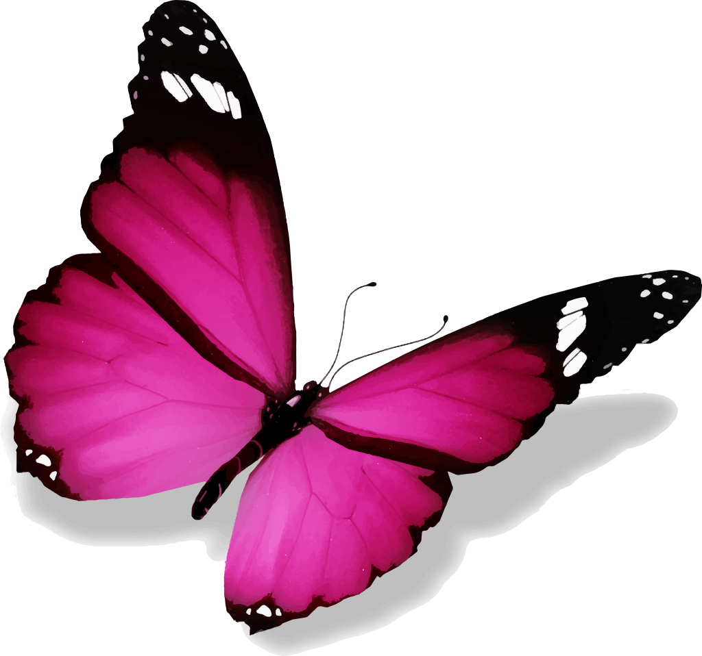 Vibrant Pink Butterfly Illustration PNG image