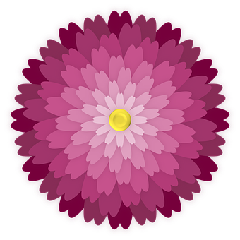 Vibrant Pink Dahlia Vector PNG image
