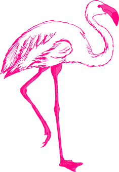 Vibrant Pink Flamingo Silhouette PNG image