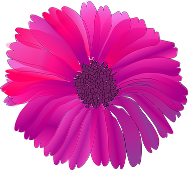 Vibrant_ Pink_ Flower_ Illustration PNG image