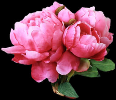 Vibrant Pink Peonies Bouquet PNG image