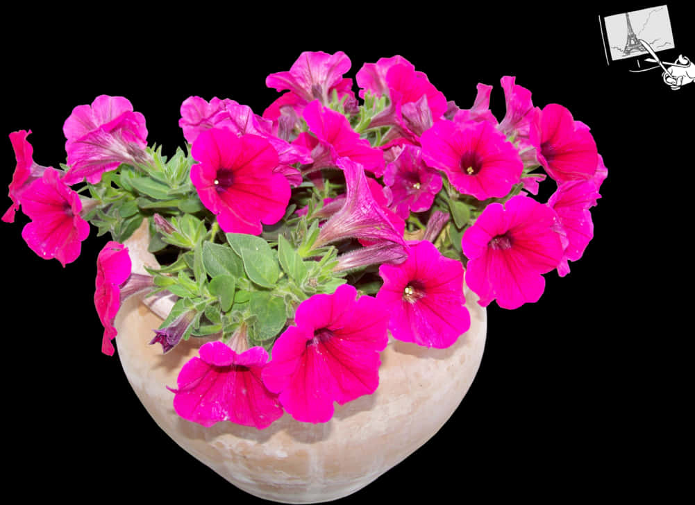 Vibrant Pink Petuniasin Flower Pot PNG image