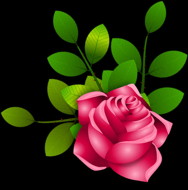 Vibrant Pink Rose Black Background PNG image