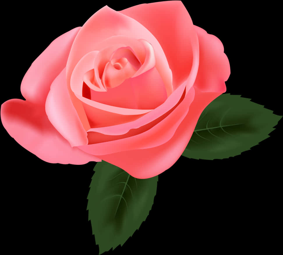 Vibrant Pink Rose Graphic PNG image