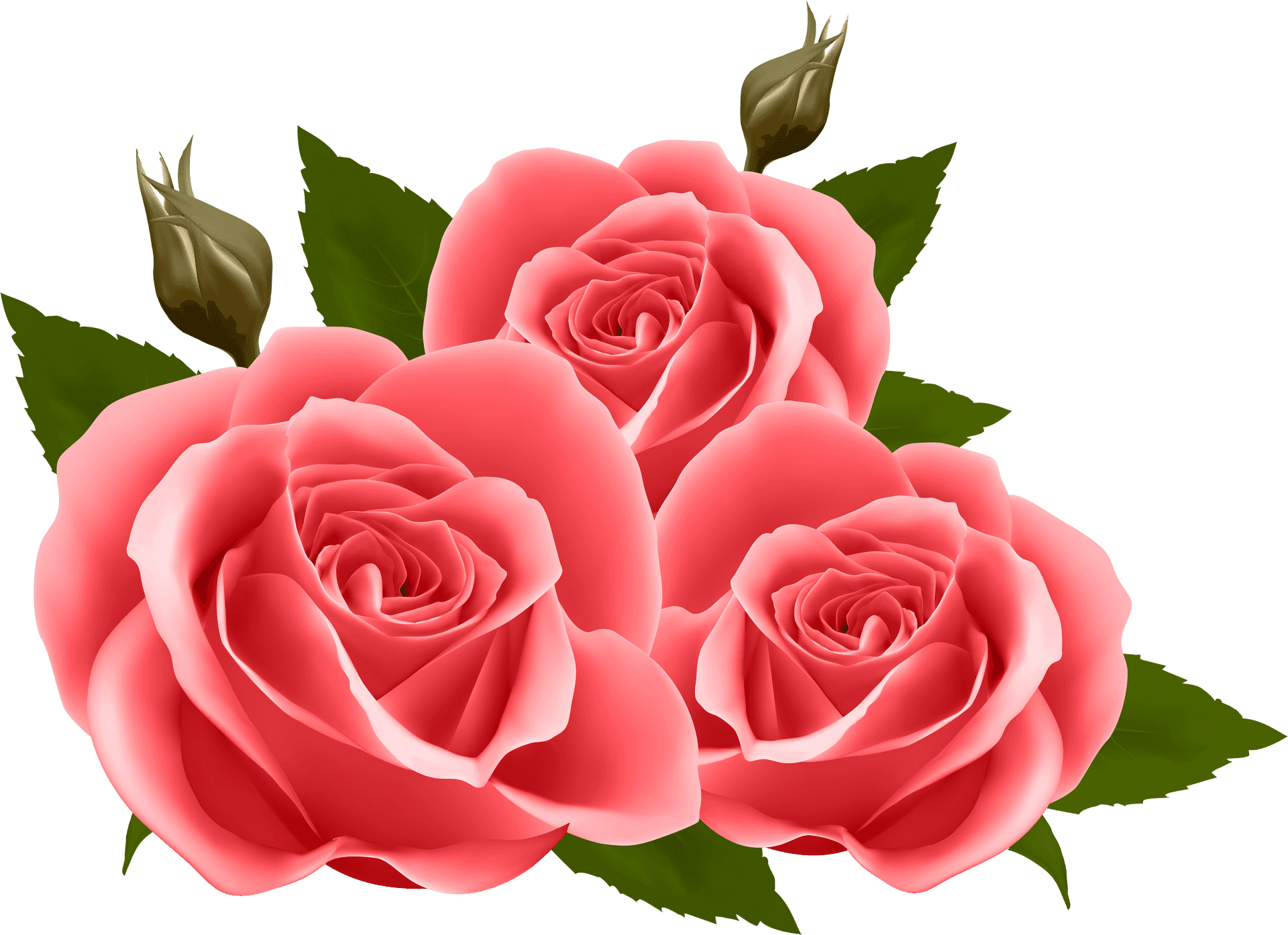 Vibrant_ Pink_ Roses_ Artwork PNG image