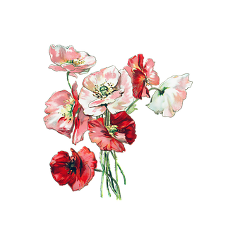 Vibrant_ Poppies_ Artwork PNG image