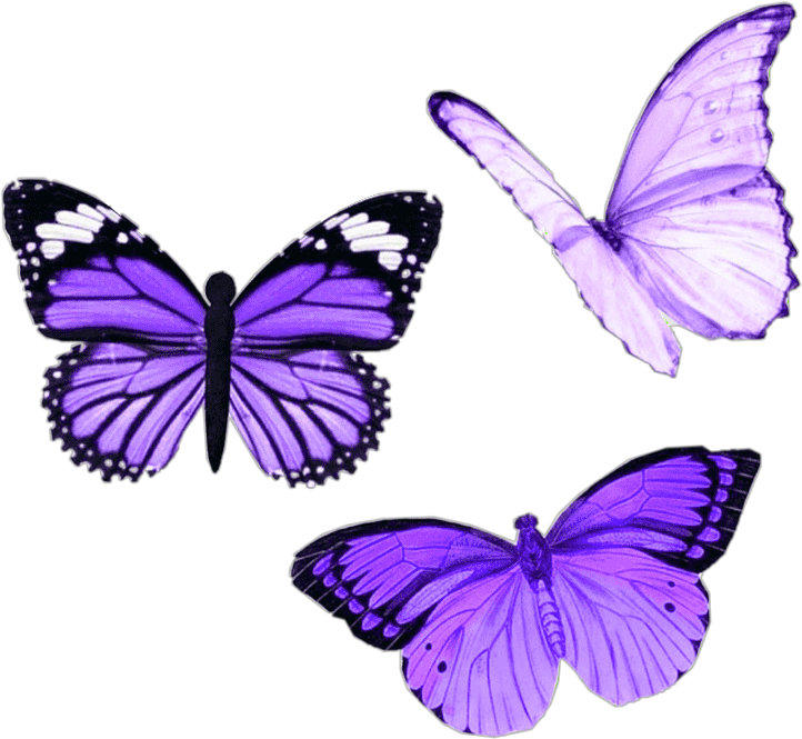 Vibrant Purple Butterflies PNG image