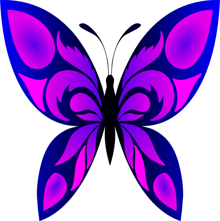 Vibrant Purple Butterfly Graphic PNG image