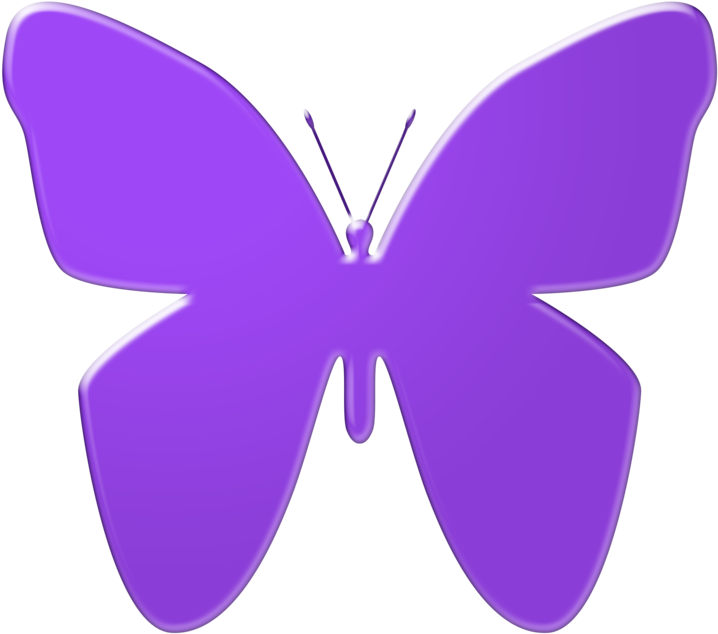 Vibrant Purple Butterfly Graphic PNG image