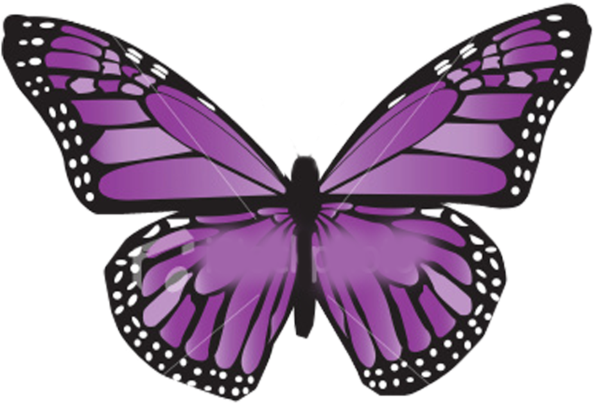 Vibrant Purple Butterfly Illustration PNG image