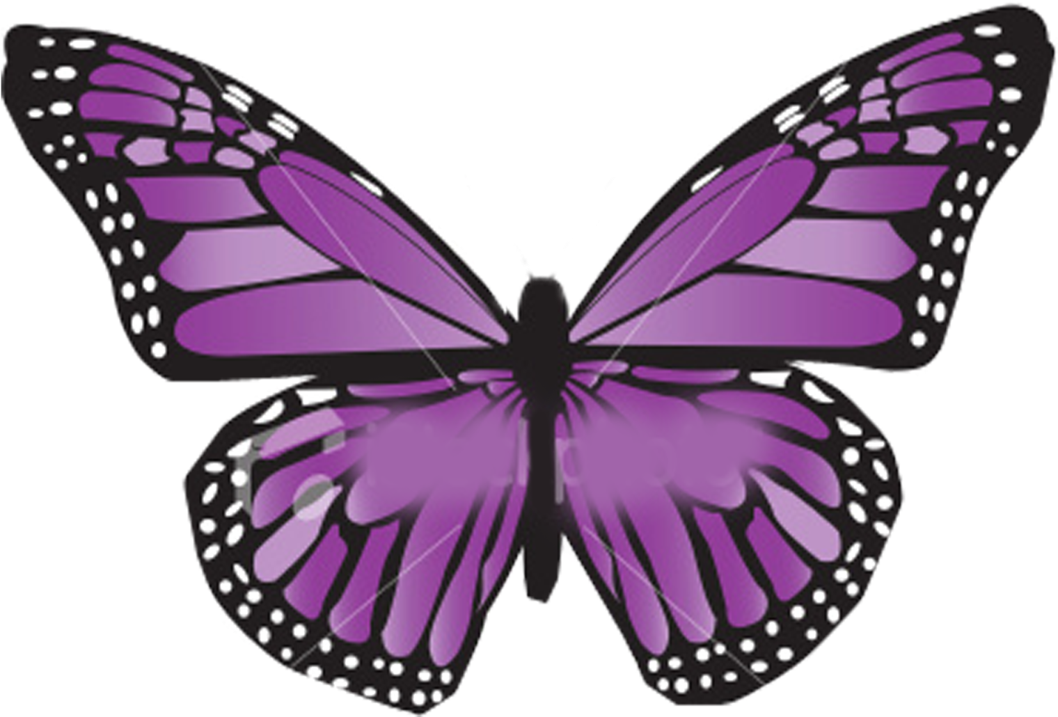 Vibrant Purple Butterfly Illustration PNG image