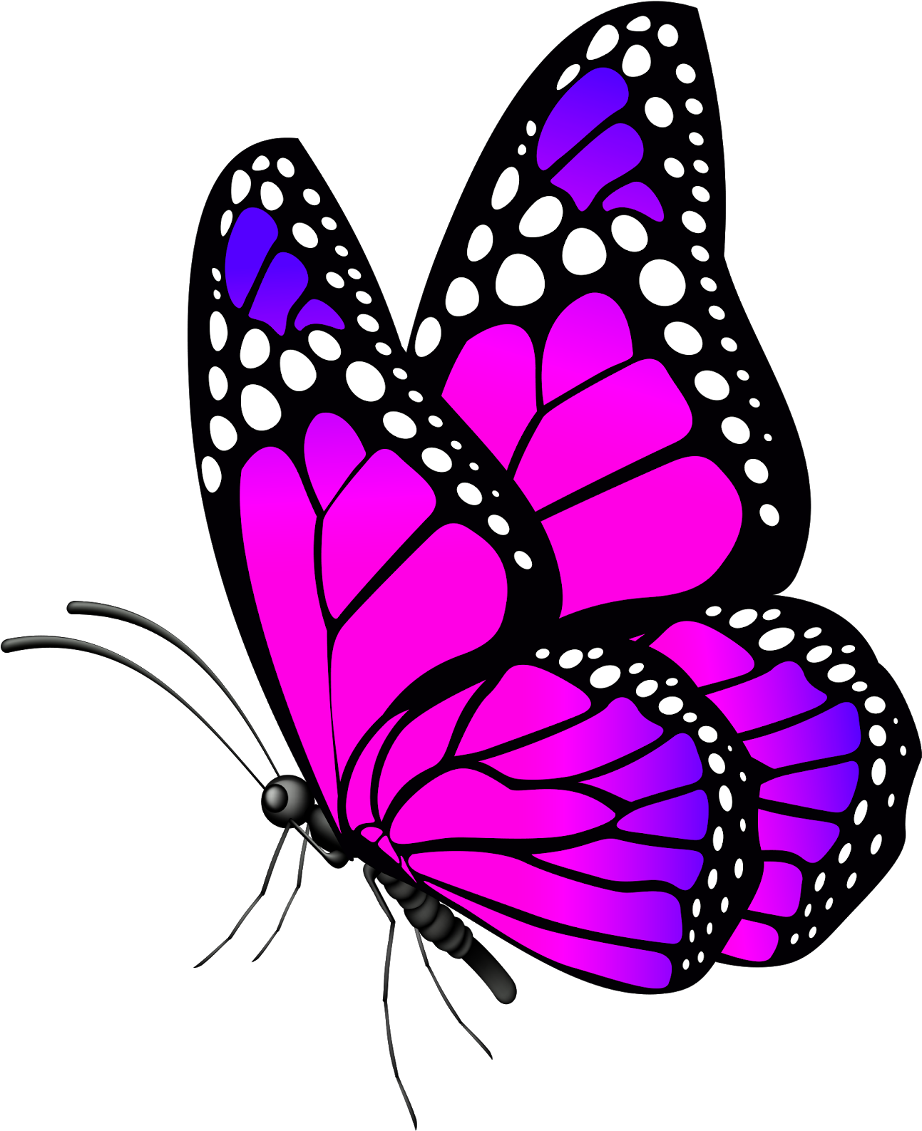 Vibrant Purple Butterfly Illustration PNG image