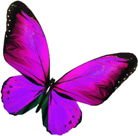 Vibrant Purple Butterfly Sticker PNG image
