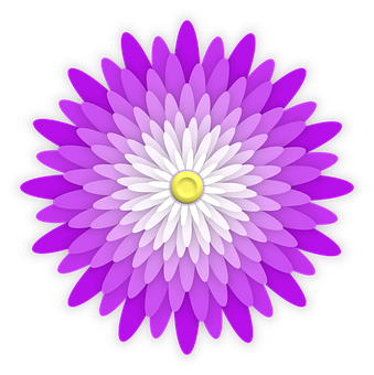Vibrant Purple Daisy Illustration PNG image