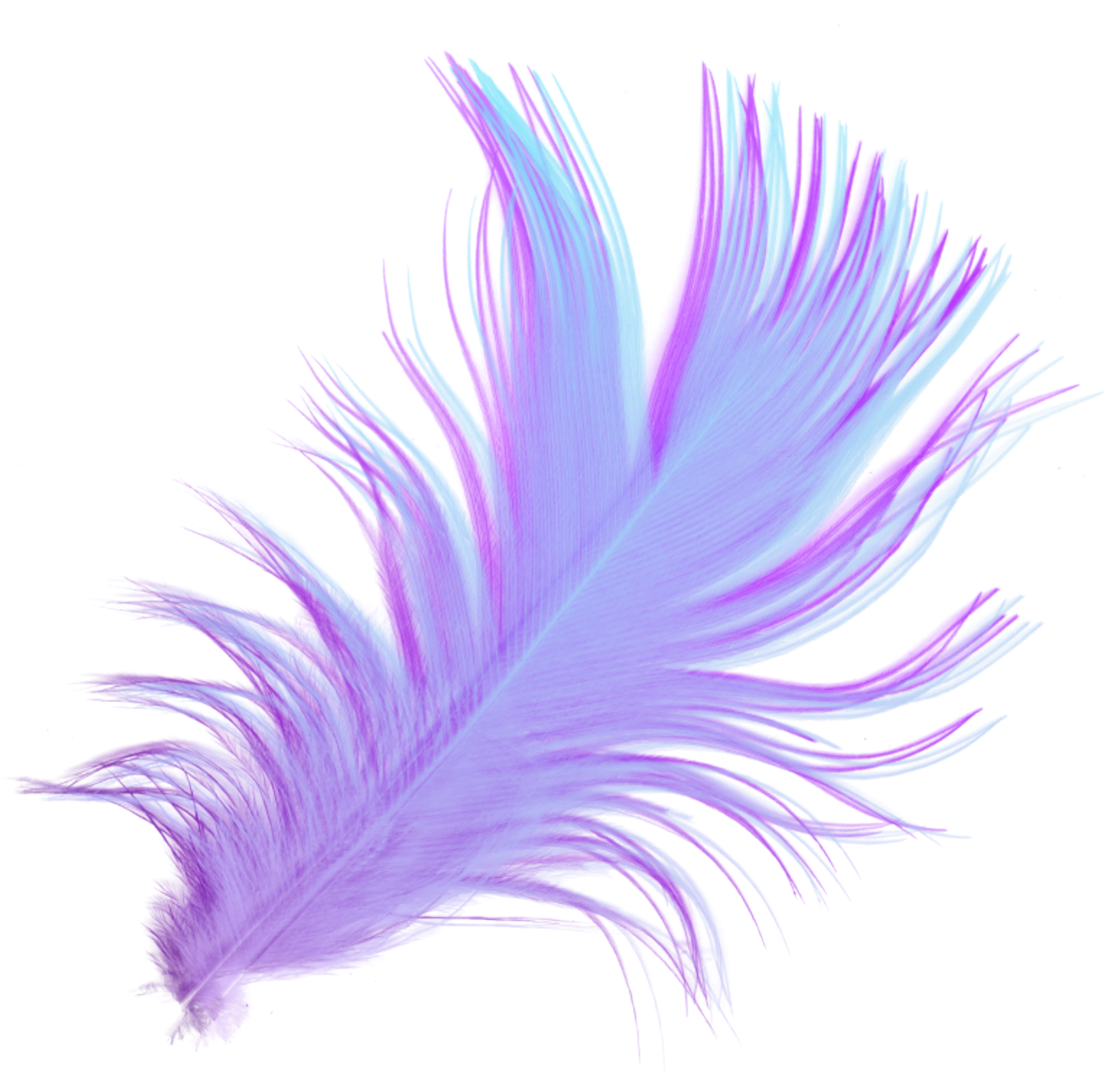 Vibrant Purple Feather Art PNG image